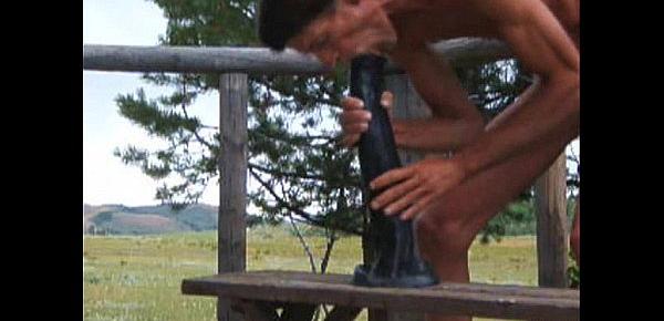  Outdoor Stallion Penis Ass Fuck and Horse Cock Anal Sex